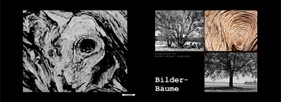 102 Baumbilder - Bilderbäume